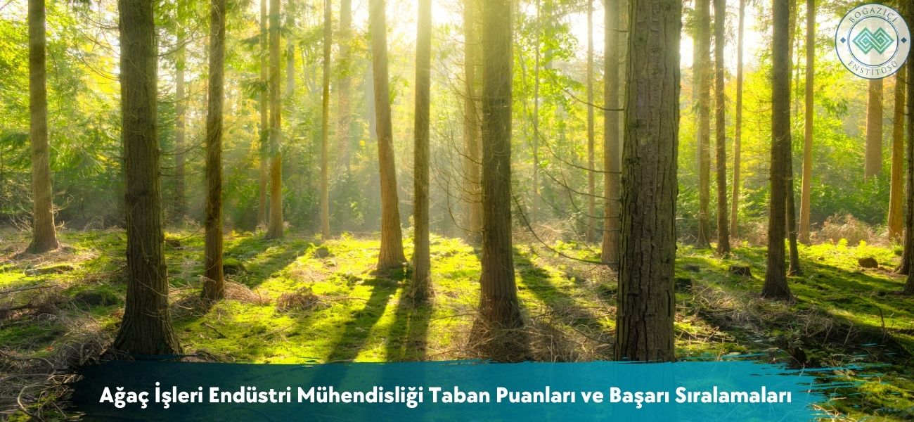 Ağaç İşleri Endüstri Mühendisliği 2025 Taban Puanları ve Sıralama Ağaç İşleri Endüstri Mühendisliği 2025 Taban Puanları ve Sıralama