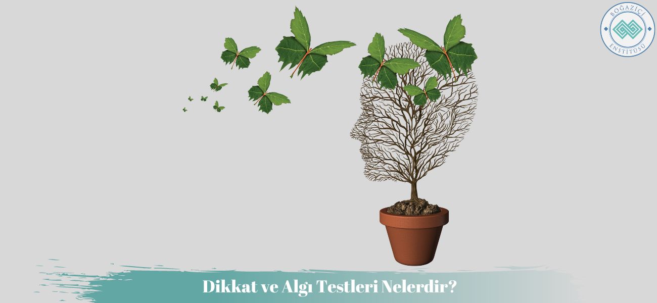 Dikkat ve Algı Testleri Nelerdir?