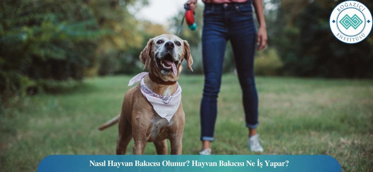 Nasıl Hayvan Bakıcısı Olunur? Hayvan Bakıcısı Ne İş Yapar?