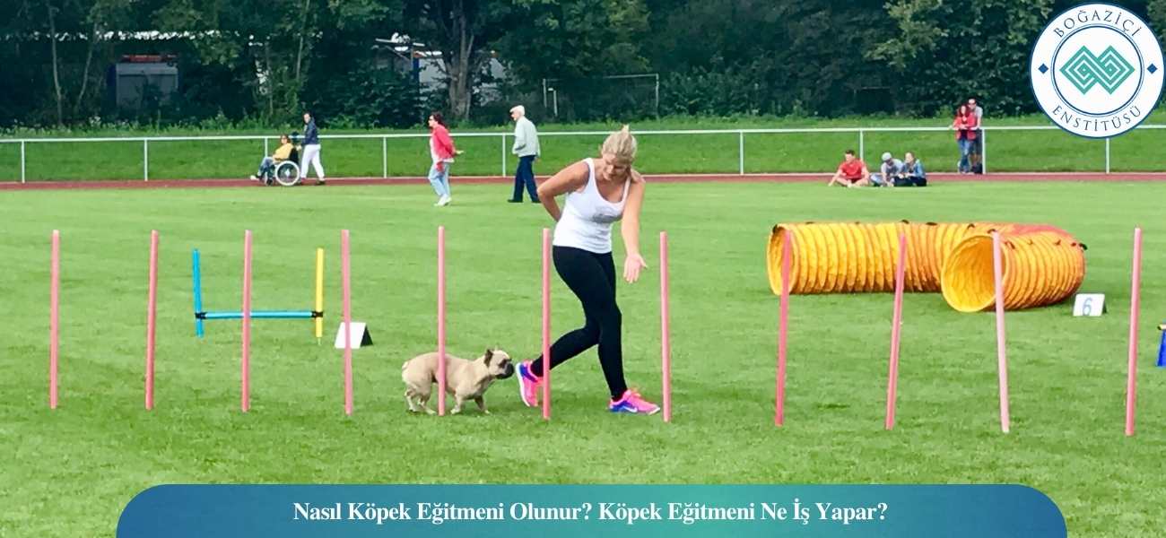 Nasıl Köpek Eğitmeni Olunur? Köpek Eğitmeni Ne İş Yapar?