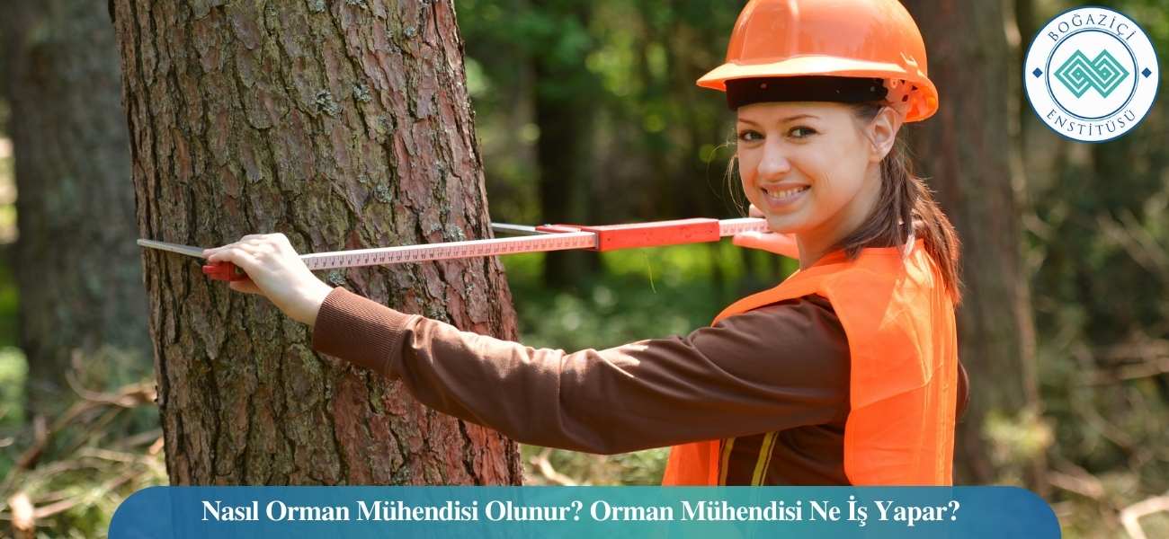 Nasıl Orman Mühendisi Olunur? Orman Mühendisi Ne İş Yapar?
