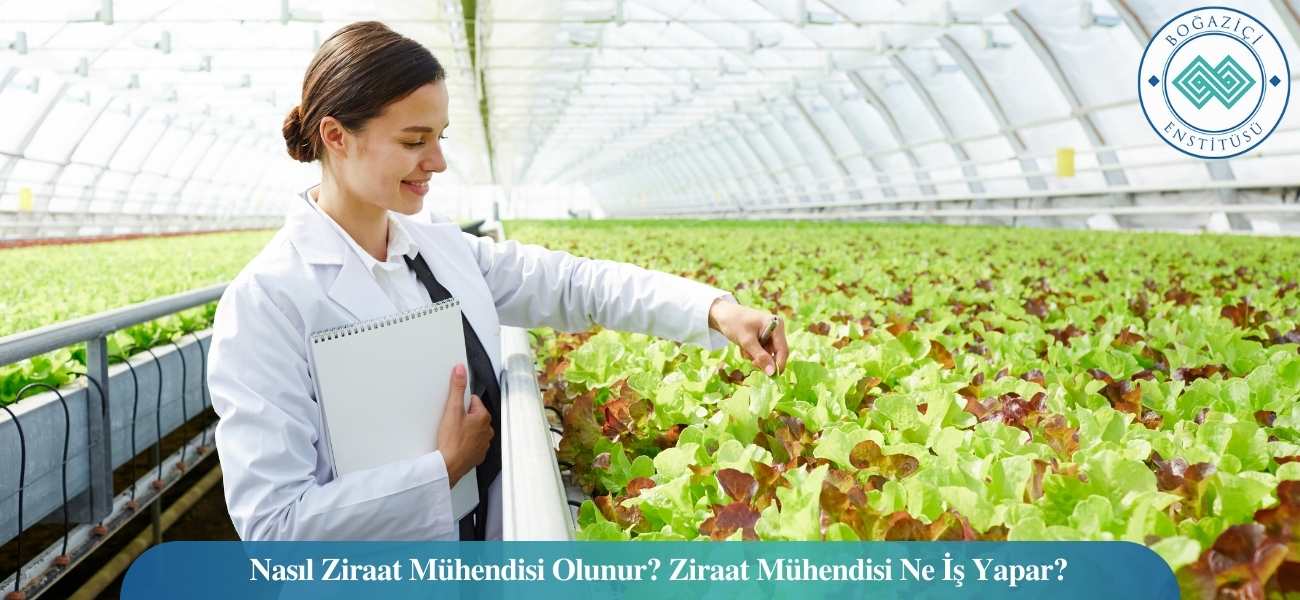 Ziraat Mühendisi Nasıl Olunur? Ne İş Yapar? Maaşları Ne Kadar?