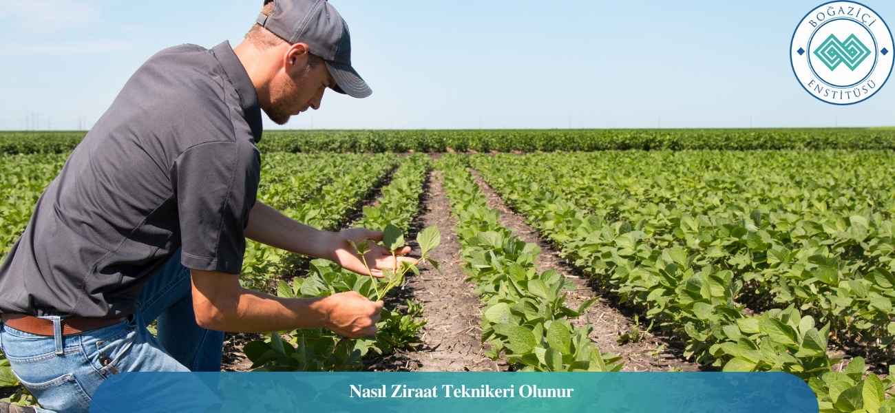 Nasıl Ziraat Teknikeri Olunur? Ziraat Teknikeri Ne İş Yapar?