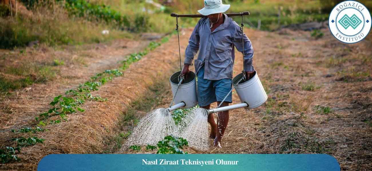 Nasıl Ziraat Teknisyeni Olunur? Ziraat Teknisyeni Ne İş Yapar?