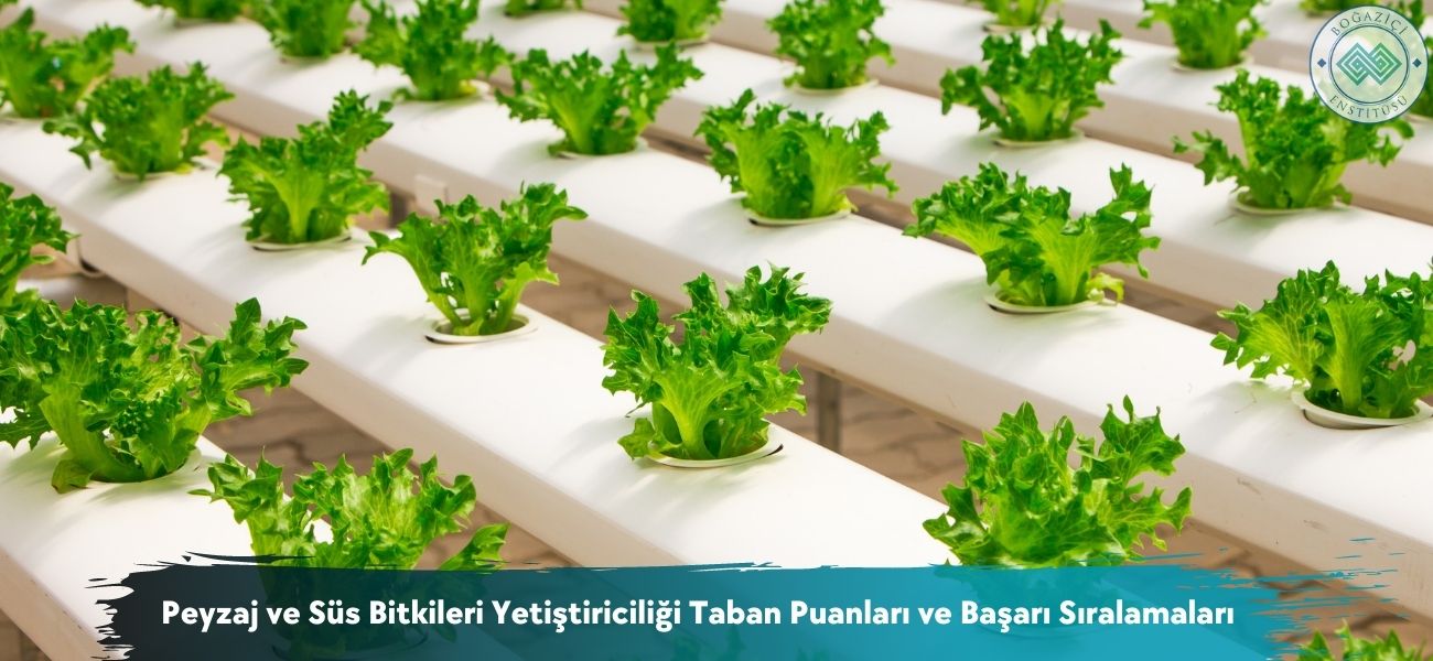 Peyzaj ve Süs Bitkileri Yetiştiriciliği 2025 Taban Puanları 