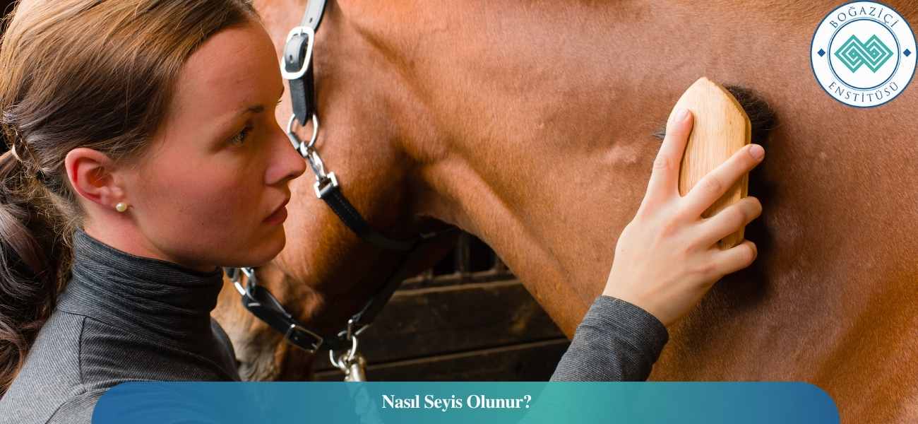 Nasıl Seyis Olunur? Seyis Ne İş Yapar?