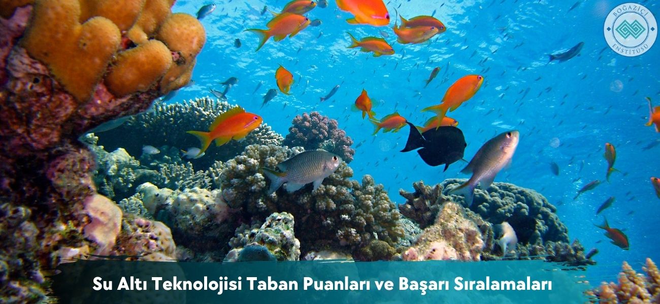 Su Altı Teknolojisi 2025 Taban Puanları ve Başarı Sıralamaları