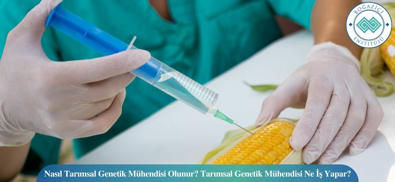 Nasıl Tarımsal Genetik Mühendisi Olunur? Tarımsal Genetik Mühendisi Ne İş Yapar?